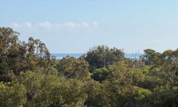 Resale - Apartment / Duplex - Guardamar del Segura - Puerto