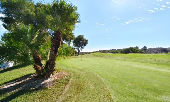 Resale - Apartment / Duplex - Orihuela Costa - Las Ramblas Golf