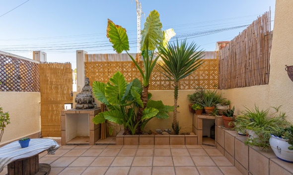 Rynek Wtórny - Apartament / Duplex - Torrevieja - Los Balcones
