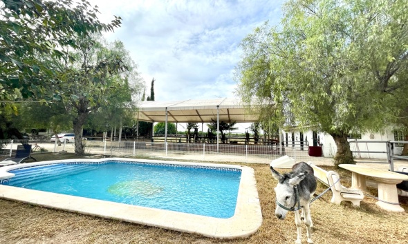Resale - Farm Estate / Country Property - Orihuela