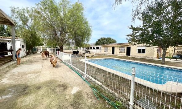 Resale - Farm Estate / Country Property - Orihuela