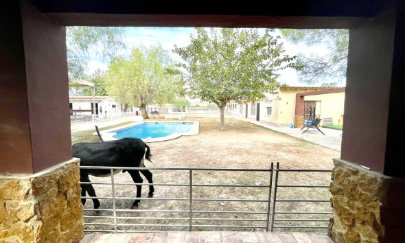 Resale - Farm Estate / Country Property - Orihuela