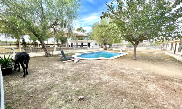 Resale - Farm Estate / Country Property - Orihuela