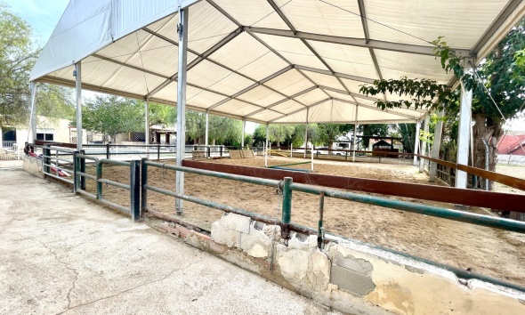 Resale - Farm Estate / Country Property - Orihuela
