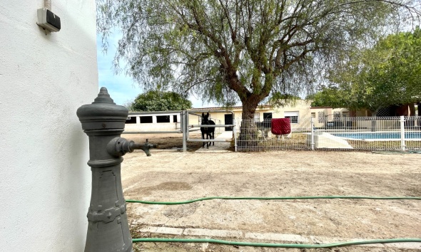 Resale - Farm Estate / Country Property - Orihuela