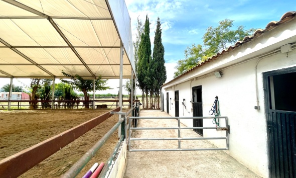 Resale - Farm Estate / Country Property - Orihuela
