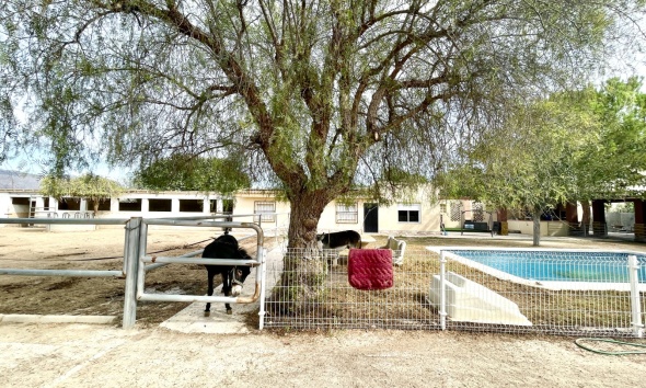 Resale - Farm Estate / Country Property - Orihuela