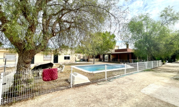 Resale - Farm Estate / Country Property - Orihuela
