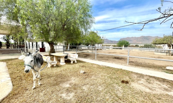 Resale - Farm Estate / Country Property - Orihuela