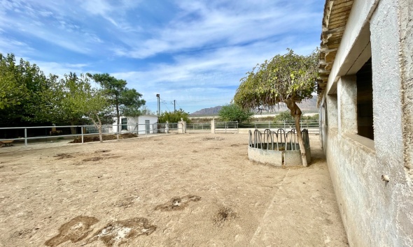 Resale - Farm Estate / Country Property - Orihuela