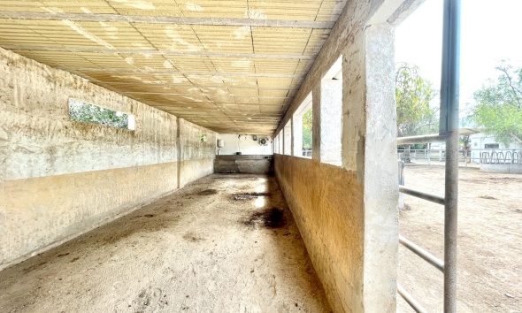 Resale - Farm Estate / Country Property - Orihuela