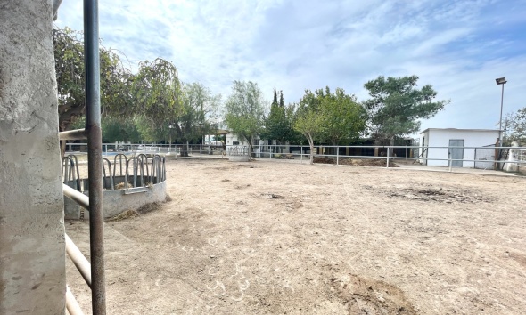 Resale - Farm Estate / Country Property - Orihuela