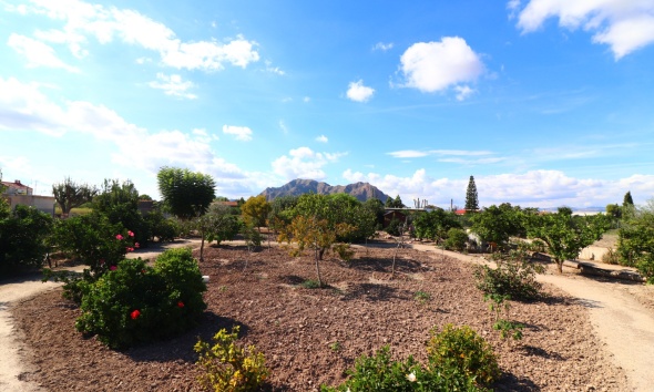 Resale - Farm Estate / Country Property - Rafal - El Mudamiento